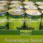 Canned Green Asparagus Spears 340g