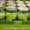 Canned Green Asparagus Spears in tins 340g