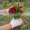 BSSAFETY white cotton knitting red latex coated working glove