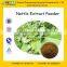 GMP Certified Manufacturer Supply Nettle Extract