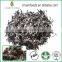 high quality Dehydrated Black fungus