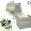 microwave Angelica/ herbs drying and sterilization machine