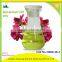 hot selling geranium oil/geranium oil price/geranium essential oil for sale