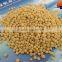 Diammonium Phosphate fertilizer