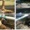 Solar Pumping System with Triphase Solar Pump Controller, for daily water using