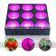 Greenhouse led panel grow light switchable indoor growing light with best price