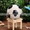 Funny design soccer ball box mini ceramic money box