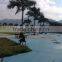 Outdoor big coconut gardening palm trees for theme park decoration