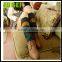 Hot sell fashion shin guards warm socks,lady open knitting jacquard leg warmers