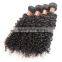 7A Grade Unprocessed Virgin Malaysian Curly Hair