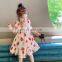 Girls dress 2020 summer new Korean sweet girl princess dress ins baby strawberry skirt