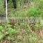 Factory Direct price 2-stroke CG430 Sloped Brush Cutter