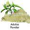 Premium Quality Adhatoda Vasica Powder At Your Door Step