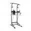 Hot sell assist dip-chin professional exercise equipment indoor gym equipment
