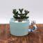 Succulent celadon flowerpot green plant flower pot hand-painted creative ceramic mini pot