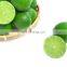 TOP FOOD FAMOUS FOR VIIET NAM GREEN LEMON HIGH QUALITY WITH BEST PRICE