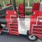 Luxury commercial electric steam trackless train for sale