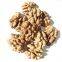 Premium Quality Wholesale Nuts for Sale Organic Raw Walnut and Walnut Kernel
