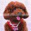Whole sale sublimation blank dog tag cheap pet tag with chain