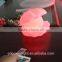 LED lights and lighting night lamp with remote control 3226G
