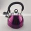 1.8L Professional and unique coffee kettle with full color coating tea pot