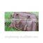 Leather Camera Bags for Women, camera and laptop bags