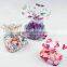 small clear Celllophane bag