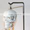 Medical standard human skeleton model skeleton teaching model 85CM skeleton can be bent