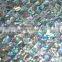 Green Abalone Shell mosaic tile,wall tile
