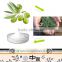 China factory olive leaf extract Oleanolic acid