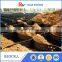 Geocell For Shoreline Protection