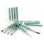 Hot sell kolinsky sable hair nail art brush set, nail polish applicator brush wide                        
                                                Quality Choice