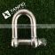 Stainless Steel D Shackle With Screw Pin