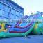hot sales giant inflatable dolphin slide/ slip
