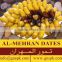 Al-Mehran Healthy BJ Dates from Pakistan