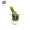 White Ceramic Flowerpot Artificial Cactus Plants For Home Decoration