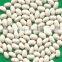 Japanese white kidney beans for sale