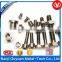 titanium torx screws