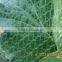 orchard anti hail net