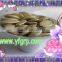 GWS snow white pumpkin seeds shine skin pumpkin seeds roasting pumpkin seeds