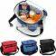 Cooler Waterproof Lunch Bag / Insulated Picnic Tote / Cooler Picnic BAG