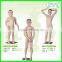 Lovely high quality child mannequins with reasonable price