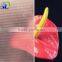 Sell deduced price 3mm-10mm clear float figured glass,patterned glass