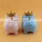 CERAMIC PIG PIGGY BANK COINS MONEY BOX SAFE SAVINGS CASH GIFT With Crown