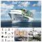 20GP container sea freight from China to Chile for Christmas gift