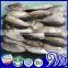 Small eyes Frozen Mackerel Fish,Round Scad Fish