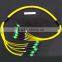 China hot sell MPO trunk cable with high quality