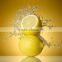 Natural instant dried lemon powder made in China