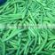 CHINA frozen green bean whole