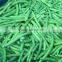 Fresh IQF green bean whole